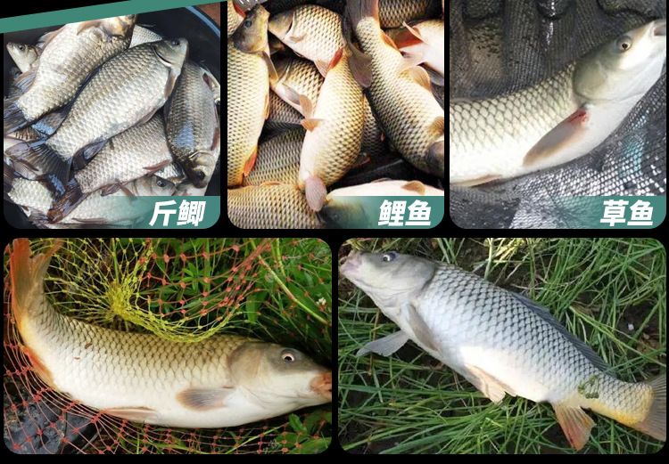 浪尖水岸鱼竿溪流竿 鲫鱼竿鱼竿手竿台钓竿短节溪流竿钓鱼套装
