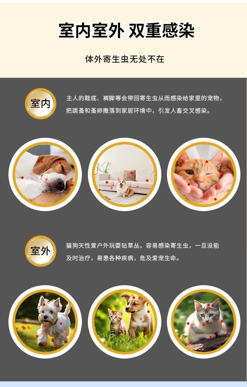 虱蚤清狗狗猫咪除跳蚤去虱子蜱虫外用喷剂宠物驱虫体外驱虫用品