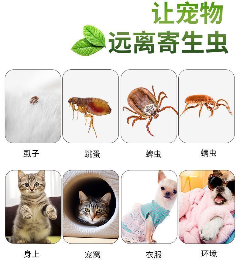 虱蚤清狗狗猫咪除跳蚤去虱子蜱虫外用喷剂宠物驱虫体外驱虫用品