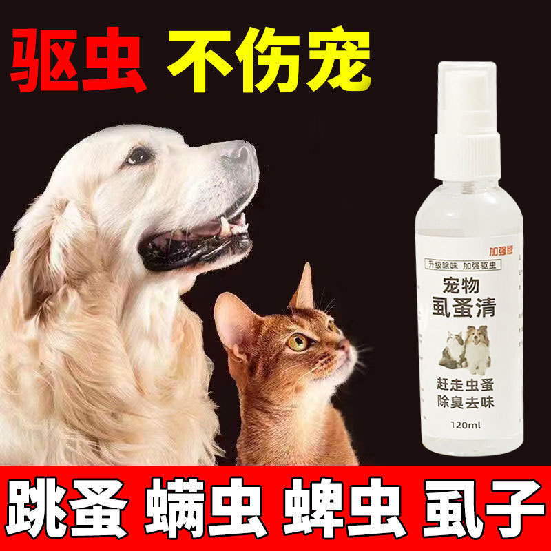 你爸爸呢吧 v哈哈
